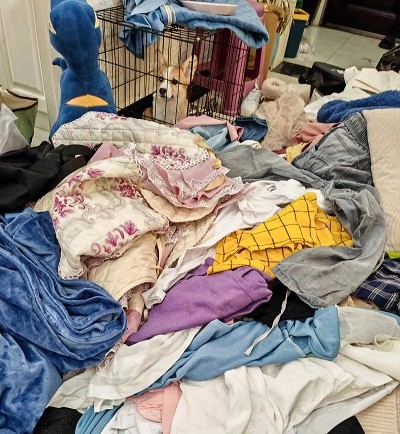  羽绒服面料回收2024：行家拆解“防风透气膜、防绒布、压光布”价格逻辑与实战指南